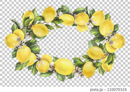 Lemons are yellow, juicy, ripe with green leaves, flower buds on the branches, whole and slices. Watercolor, hand drawn botanical illustration. Oval frame, wreath, template on a white background Lemons are yellow, juicy, ripe with green leaves, flower buds on the branches, whole and slices. Watercolor, hand drawn botanical illustration. Oval frame, wreath, template on a white background 110070328