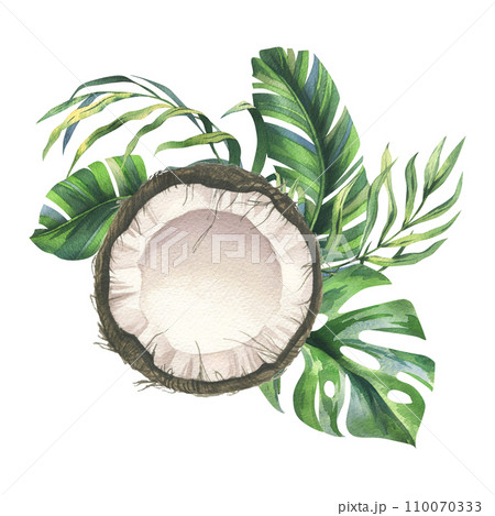 Coconuts whole, halves and pieces with bright, green, tropical palm leaves. Hand drawn watercolor illustration. Pre-made composition isolated from the background. Coconuts whole, halves and pieces with bright, green, tropical palm leaves. Hand drawn watercolor illustration. Pre-made composition isolated from the background. 110070333