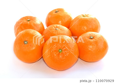 柑橘類(はれひめ) 柑橘類(はれひめ) 110070929