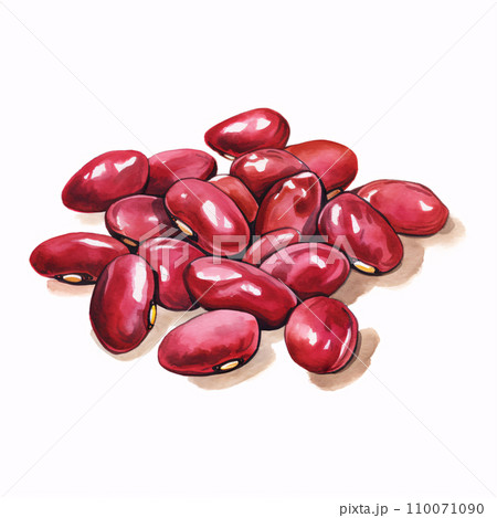小豆の水彩イラスト 110071090