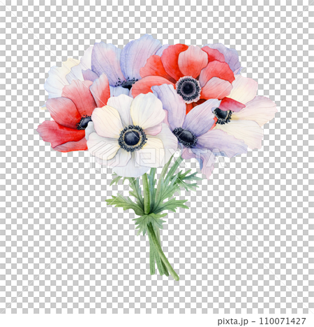Elegant bride's bouquet of purple, white and red anemone flowers watercolor illustration isolated on white background. Field poppies for spring wedding design and Mothers day cards Elegant bride's bouquet of purple, white and red anemone flowers watercolor illustration isolated on white background. Field poppies for spring wedding design and Mothers day cards 110071427