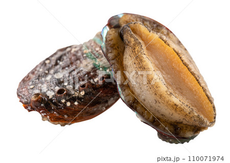 アワビ あわび 鮑 110071974