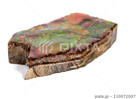 Macro stone Ammolite mineral on white background Macro stone Ammolite mineral on white background 110072007