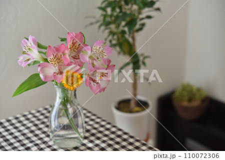 花瓶の花　きんせんかとアルストロメリア 110072306