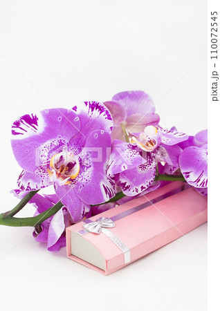 Bouquet of purple orchids on long pink gift box with bow. Large beautiful blossom bunch. Birthday, Valentine's Day, Women's and Mother's Day, holiday. Copy space Bouquet of purple orchids on long pink gift box with bow. Large beautiful blossom bunch. Birthday, Valentine's Day, Women's and Mother's Day, holiday. Copy space 110072545