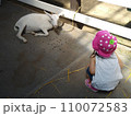 ヤギと女の子 110072583