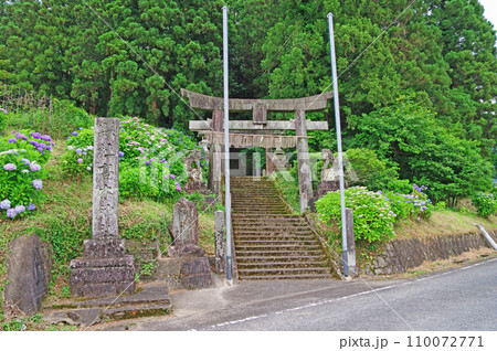 福岡県嘉麻市小野谷にある高木神社鳥居と紫陽花 110072771