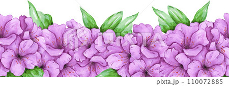 Hand drawn watercolor purple azalea seamless border isolated on white background. Can be used for label, tape, decoration and other printed products. 110072885