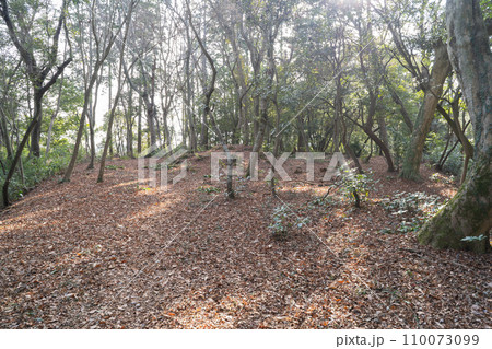 大松山城跡（備中松山城） 110073099