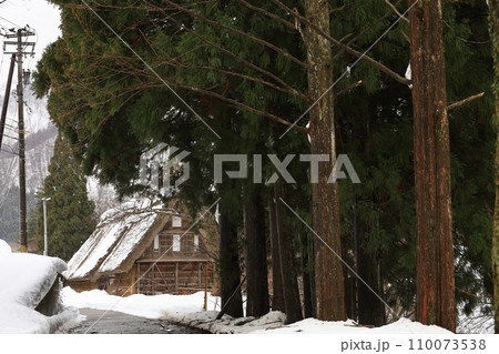 富山県冬の五箇山合掌造り 110073538