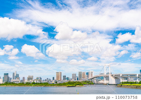 【東京都】真夏のお台場の都市風景 110073758