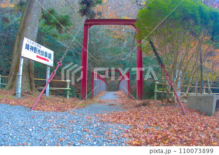 [愛知県]岡崎市のくらがり渓谷 110073899