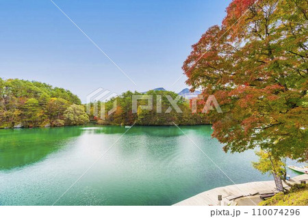 紅葉時期の毘沙門沼(五色沼)の風景 福島県北塩原村 紅葉時期の毘沙門沼(五色沼)の風景 福島県北塩原村 110074296