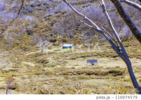 Whites River Hut in Kosciuszko National Park in Australia 110074579