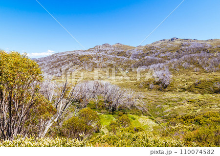 Whites River Hut in Kosciuszko National Park in Australia 110074582