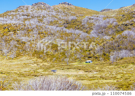 Whites River Hut in Kosciuszko National Park in Australia Whites River Hut in Kosciuszko National Park in Australia 110074586