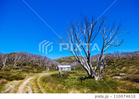 Whites River Hut in Kosciuszko National Park in Australia 110074618