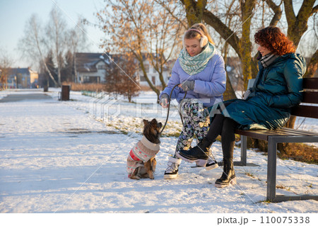 Winter scenery in a city park during a meeting with a friend. 110075338
