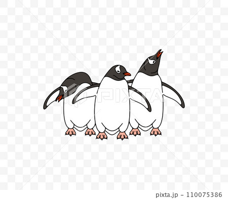 Subantarctic penguin or gentoo penguins, graphic design. Animal, bird, avian, feathered, antarctica and nature, vector design and illustration 110075386
