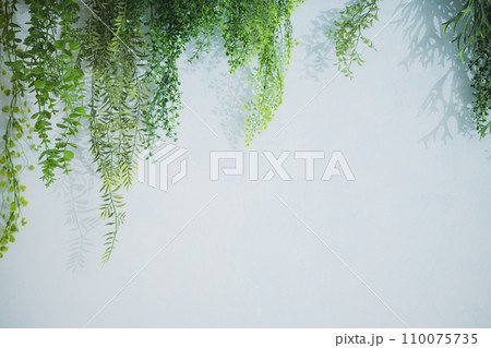 グリーンウォール 110075735