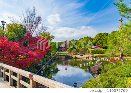 秋の白鳥庭園〈愛知県名古屋市〉 秋の白鳥庭園〈愛知県名古屋市〉 110075760