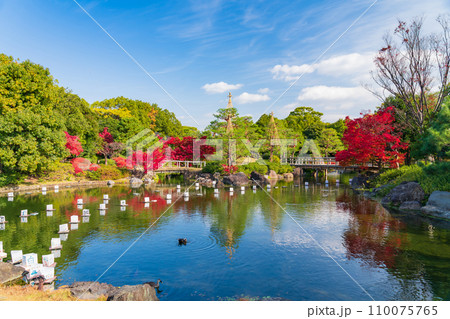 秋の白鳥庭園〈愛知県名古屋市〉 110075765
