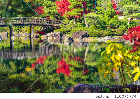 秋の白鳥庭園〈愛知県名古屋市〉 110075774