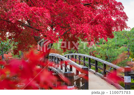 秋の白鳥庭園〈愛知県名古屋市〉 110075783