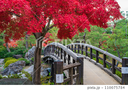 秋の白鳥庭園〈愛知県名古屋市〉 110075784