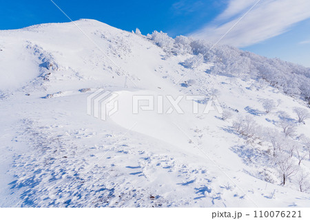 青と白の世界　滋賀県、冬の伊吹山　日本百名山 110076221