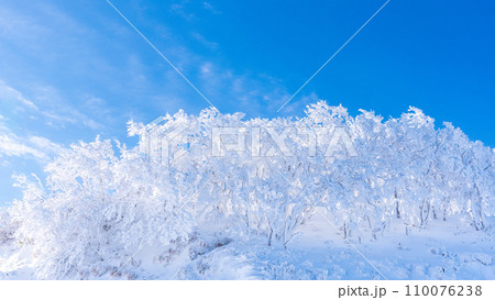 純白に輝く樹氷　青と白の世界　滋賀県、冬の伊吹山　日本百名山 110076238