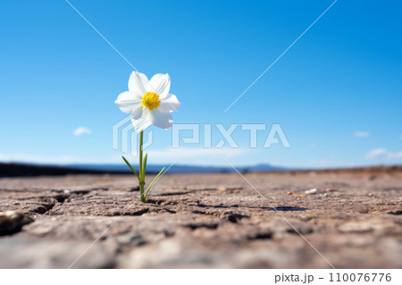 亀裂から芽を出し成長し花が咲く。逆境を打ち克つ生命力。希望を失わなず目標を達成する。「AI生成画像」 110076776