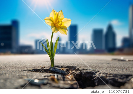 亀裂から芽を出し成長し花が咲く。逆境を打ち克つ生命力。希望を失わなず目標を達成する。「AI生成画像」 110076781