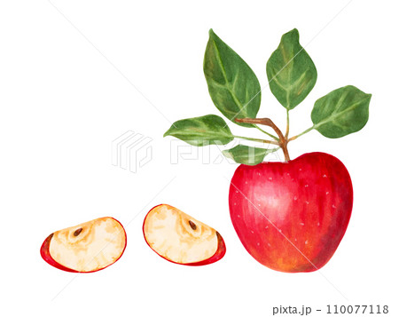 Red apple with slices and leaves. Natural food fruits for harvest decoration, food packaging. Watercolor and marker illustration.Hand drawn watercolor illustration. 110077118