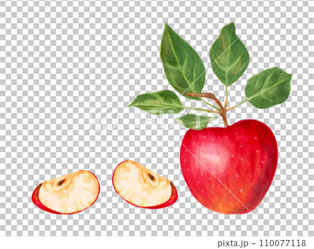 Red apple with slices and leaves. Natural food fruits for harvest decoration, food packaging. Watercolor and marker illustration.Hand drawn watercolor illustration. 110077118