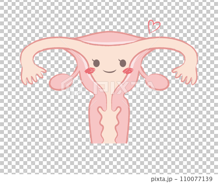 Cute uterus character illustration Cute uterus character illustration 110077139