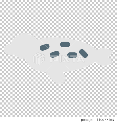 海の生物、アザラシを表すカラースタイルのアイコン 110077163