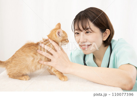 仔猫の診察をする女性獣医師 110077396