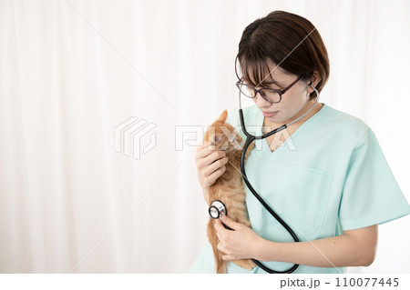 仔猫の診察をするメガネをかけた女性獣医師 110077445