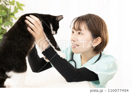 仔猫の診察をする女性獣医師 仔猫の診察をする女性獣医師 110077494