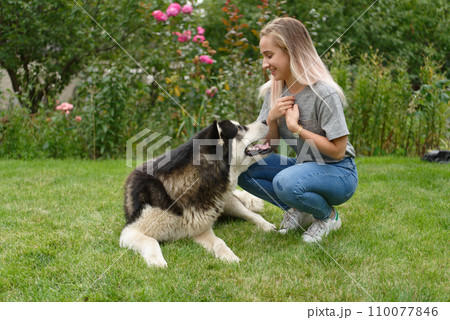 A girl with a dog 110077846