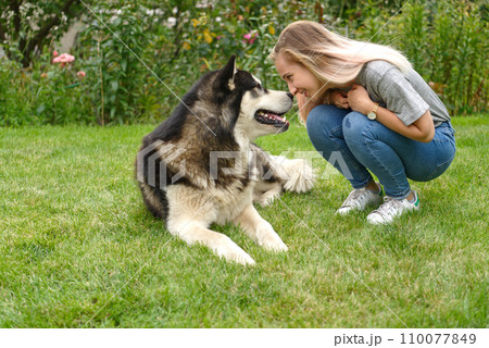 A girl with a dog A girl with a dog 110077849