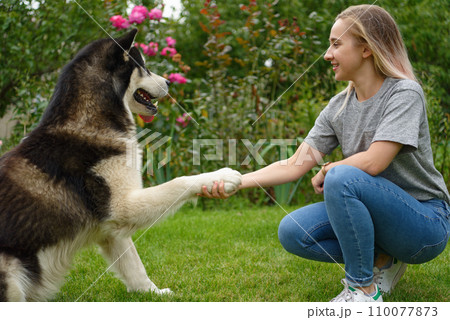 A girl with a dog A girl with a dog 110077873
