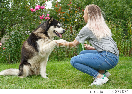 A girl with a dog A girl with a dog 110077874