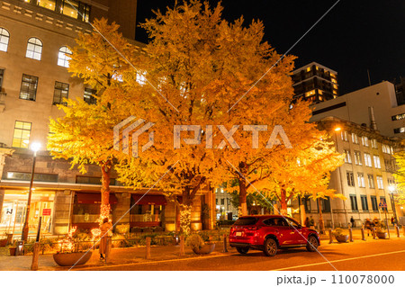 《神奈川県》横浜日本大通りの夜景・黄葉のイチョウ並木 110078000
