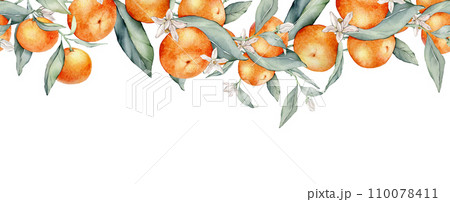 Watercolor seamless border illustration orange tangarine and green leaves isolated on white background. Element hand painted natural plant twigs with fresh citrus fruits for design. Mandarin branches 110078411