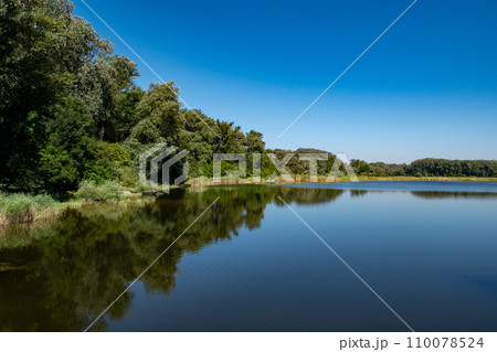 Landscape With Pond In The River Danube Wetlands National Park Near Vienna In Austria Landscape With Pond In The River Danube Wetlands National Park Near Vienna In Austria 110078524