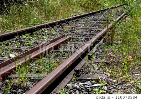 Old Rusty Rails On Unused Railroad Overgrown With Grass And Shrubs 110078584
