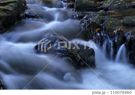 秋の渓流　奥三河 110078960