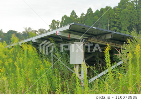 雑草が生い茂った太陽光発電 110078988